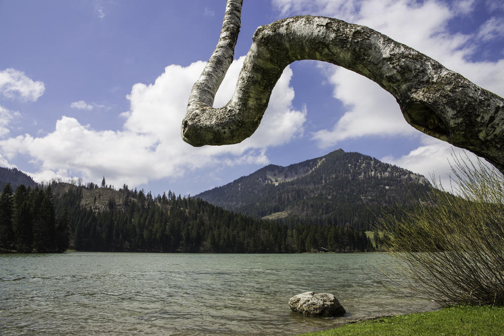 Berggasthof Willy Merkl Haus Spitzingsee Ngoại thất bức ảnh